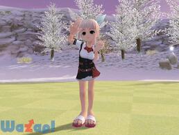 �X�J�b�ƃS���t�p�����̉摜