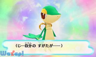 �|�P�����s�v�c�̃_���W���� -�}�O�i�Q�[�g�Ɓ����{-�̉摜