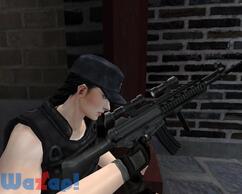 �X�y�V�����t�H�[�X�̉摜