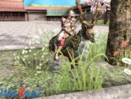 �V�n�嗐�̉摜