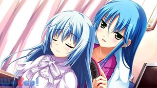 ����0�L�����[�g�� Portable�̉摜