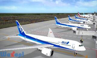 �ڂ��͍q��ǐ��� �G�A�|�[�g�q�[���[3D ���c with ANA�̉摜