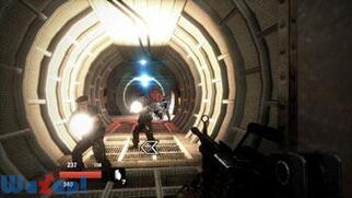 �w�r�[�t�@�C�A �V���b�^�[�h�X�s�A�̉摜