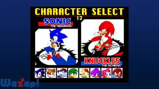 Sonic the Fighters�̉摜