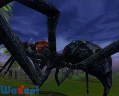 �V���N���[�h�I�����C���̉摜