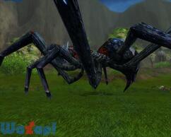 �V���N���[�h�I�����C���̉摜