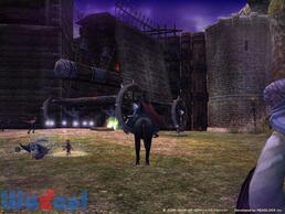 �p���h���T�[�K�̉摜