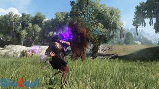 ���������i���j�̉摜