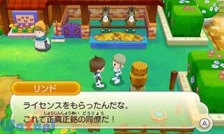 �t�@���^�W�[���C�t�̉摜