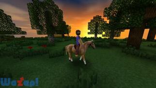 Survivalcraft�̉摜