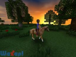 Survivalcraft�̉摜