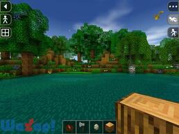 Survivalcraft�̉摜