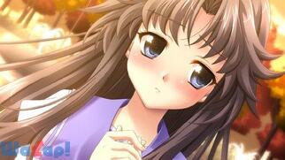 �������[�Y�I�t6 Complete�̉摜