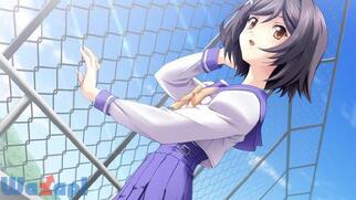 �������[�Y�I�t6 Complete�̉摜