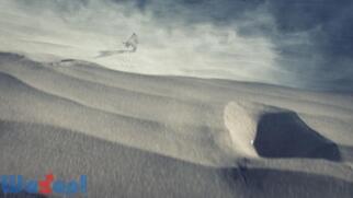 Halo Xbox One�̉摜