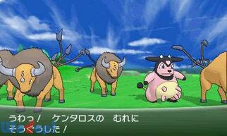 |PbgX^[X̉摜