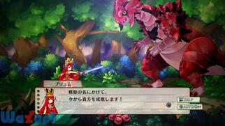 �A���J�f�B�A�X�̐�P�̉摜