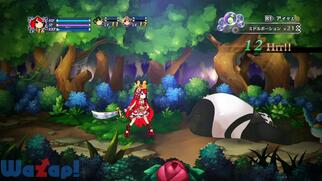 �A���J�f�B�A�X�̐�P�̉摜