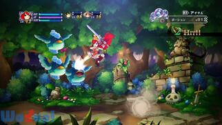 �A���J�f�B�A�X�̐�P�̉摜