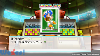 �p���v���X�^�W�A���̉摜