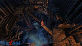 �L���b�X�����@�j�A ���[�h�E�I�u�E�V���h�E�̉摜