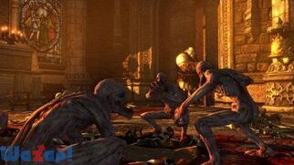 �L���b�X�����@�j�A ���[�h�E�I�u�E�V���h�E�̉摜