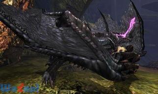 �����X�^�[�n���^�[4�̉摜