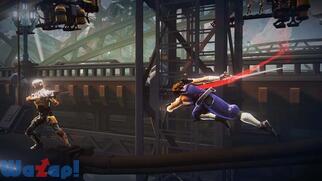 �X�g���C�_�[�򗳂̉摜