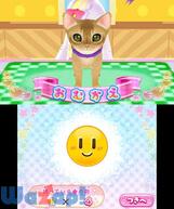 ���j�����y�b�g�V���b�v�̉摜