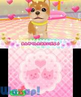 ���j�����y�b�g�V���b�v�̉摜