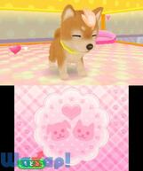 ���j�����y�b�g�V���b�v�̉摜