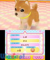 ���j�����y�b�g�V���b�v�̉摜