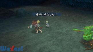 �G�N�V�Y�E�t�H���X�̉摜