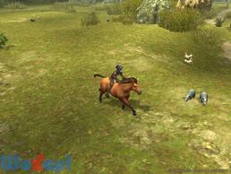 �A���J�f�B�A�T�[�K�̉摜