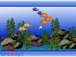 �e�[�} �A�N�A���E���̉摜