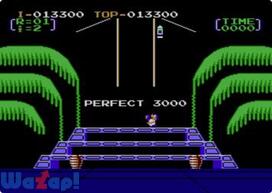 �h���L�[�R���O3�̉摜