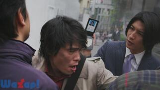 428 -�������ꂽ�a�J��-�̉摜