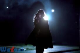 428 -�������ꂽ�a�J��-�̉摜