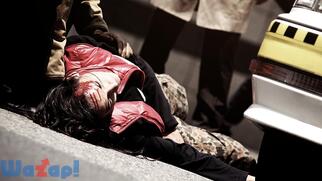 428 �������ꂽ�a�J�ł̉摜