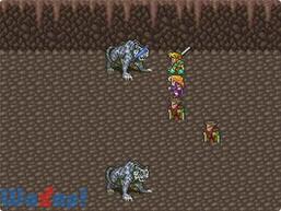 ���}���V���O �T�E�K�̉摜