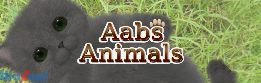 Aabs Animals(A[YEAj}Y)
