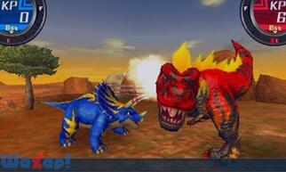 �J�Z�L�z���_�[ ���Q���M�A�̉摜