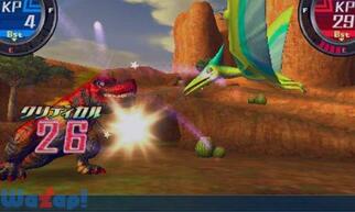 �J�Z�L�z���_�[ ���Q���M�A�̉摜