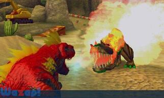 �J�Z�L�z���_�[ ���Q���M�A�̉摜