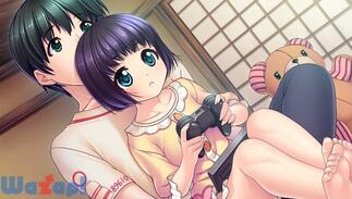 �����Ǝo�A�����Ƃ��悤����I�{PLUS�̉摜