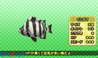 �����炭�t�B�b�V���O3D�̉摜