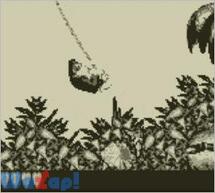 �X�[�p�[�h���L�[�R���OGB�̉摜