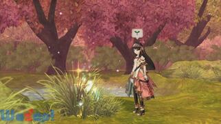 �V�����[�̃A�g���G �����̊C�̘B���p�m�̉摜