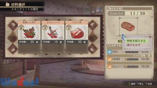 �V�����[�̃A�g���G �����̊C�̘B���p�m�̉摜