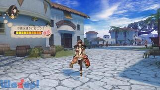 �V�����[�̃A�g���G �����̊C�̘B���p�m�̉摜